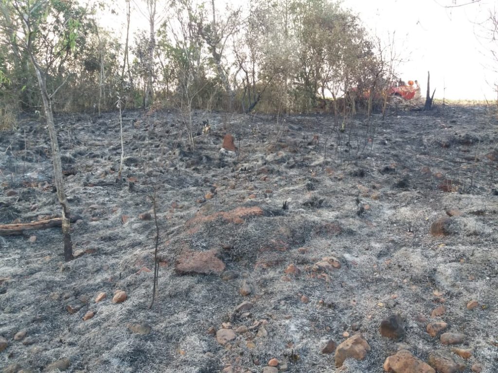 Especial Retrospectiva: Incêndios, pandemia, acidentes e ações solidárias marcaram o ano de 2021 dos Bombeiros Militares em Amambai