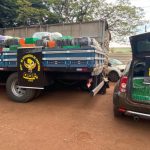 DOF apreende mais de 11 toneladas de maconha entre Amambai e Coronel Sapucaia