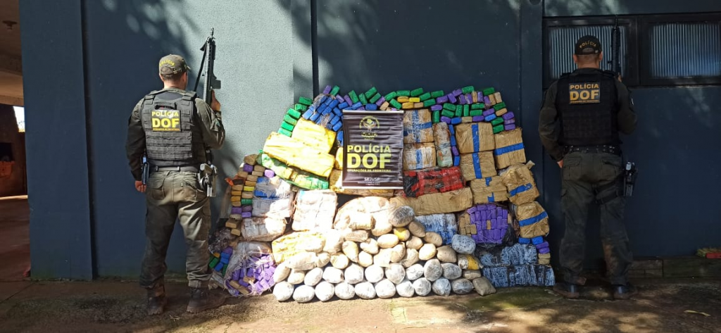 DOF apreende quase 700 quilos de drogas em meio a uma plantação de milho em Aral Moreira DOF apreende quase 700 quilos de drogas em meio a uma plantação de milho em Aral Moreira