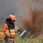 Ação integrada e treinamento contribuem para prevenção de incêndios florestais em MS
