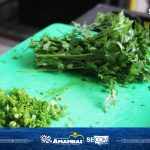 Farofa do Prefeito é o prato que vai representar Amambai no 2º Desafio Estadual das Merendeiras