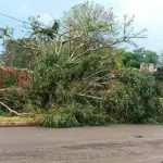 Secretarias de Serviços Urbanos e Infraestrutura prestam socorro à população após vendaval
