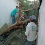 Secretarias de Serviços Urbanos e Infraestrutura prestam socorro à população após vendaval
