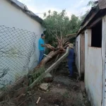 Secretarias de Serviços Urbanos e Infraestrutura prestam socorro à população após vendaval