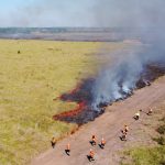 Área queimada no Cerrado tem redução de 53% em 2023 e no Pantanal queda foi ainda maior: 55%