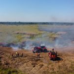 Área queimada no Cerrado tem redução de 53% em 2023 e no Pantanal queda foi ainda maior: 55%