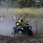 Área queimada no Cerrado tem redução de 53% em 2023 e no Pantanal queda foi ainda maior: 55%
