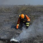 Área queimada no Cerrado tem redução de 53% em 2023 e no Pantanal queda foi ainda maior: 55%