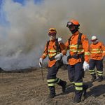 Área queimada no Cerrado tem redução de 53% em 2023 e no Pantanal queda foi ainda maior: 55%