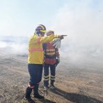 Área queimada no Cerrado tem redução de 53% em 2023 e no Pantanal queda foi ainda maior: 55%
