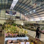 Confira como foi a 12ª edição da Feira das Flores em Amambai