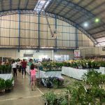 Confira como foi a 12ª edição da Feira das Flores em Amambai
