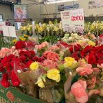 Confira como foi a 12ª edição da Feira das Flores em Amambai