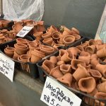 Confira como foi a 12ª edição da Feira das Flores em Amambai