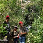 Projeto Florestinha de Amambai realiza trilha em comemoração ao Dia da Natureza