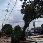 Vendaval passageiro causa danos em Amambai