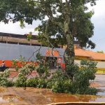 Vendaval passageiro causa danos em Amambai