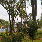 Vendaval passageiro causa danos em Amambai