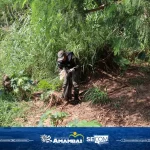 Alunos, servidores e militares realizam ação de preservação ambiental no Córrego Retiro