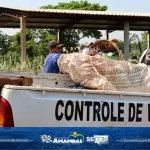 Alunos, servidores e militares realizam ação de preservação ambiental no Córrego Retiro