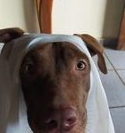 Conheça os ganhadores do 1º sorteio de Halloween do Amambai Notícias