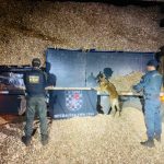 DOF apreende mais de cinco toneladas de drogas em uma carga de cavaco de madeira