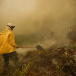Brigadistas intensificam trabalho de combate a incêndios no Pantanal