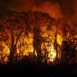 Brigadistas intensificam trabalho de combate a incêndios no Pantanal