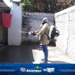 Com aumento dos casos de Dengue, Secretaria de Saúde inicia ações e pede ajuda da população