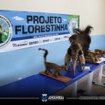 Semana do Meio Ambiente em Amambai tem início com tema “Nossa Terra, Nosso Futuro”
