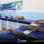 Semana do Meio Ambiente em Amambai tem início com tema “Nossa Terra, Nosso Futuro”