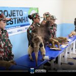 Semana do Meio Ambiente em Amambai tem início com tema “Nossa Terra, Nosso Futuro”