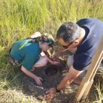 Plantio e distribuição de mudas marcam mais um dia da programação especial de Meio Ambiente em Amambai