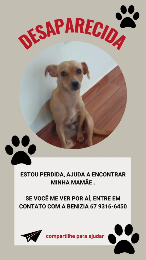Ajude a encontrar a cachorrinha Princesa Ajude a encontrar a cachorrinha Princesa