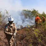 Esforço coletivo: Governo de MS e Força Nacional trabalham em conjunto para combater focos no Pantanal