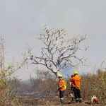 Esforço coletivo: Governo de MS e Força Nacional trabalham em conjunto para combater focos no Pantanal