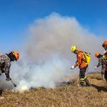 Esforço coletivo: Governo de MS e Força Nacional trabalham em conjunto para combater focos no Pantanal