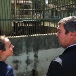 Com tratamento específico, onças-pintadas se recuperam e Miranda pode voltar à natureza em 30 dias