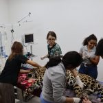 Onças-pintadas: Miranda se restabelece com cura das patas, enquanto Antã segue em cuidados especiais