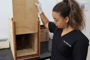 Bem estar animal: Imasul transfere filhotes de tuiuiú e corujas para zoológico em São Paulo