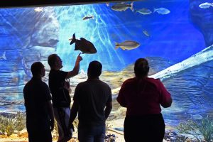 Bioparque Pantanal celebra a marca de 1 milhão de visitantes sendo referência no turismo da Capital