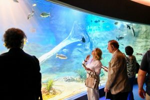 Bioparque Pantanal celebra a marca de 1 milhão de visitantes sendo referência no turismo da Capital