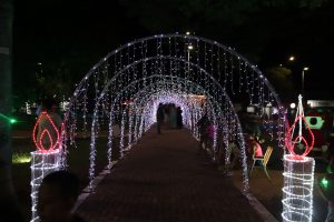 Abertura do Natal de Luzes em Amambai: Confira os registros de uma noite mágica