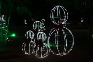 Abertura do Natal de Luzes em Amambai: Confira os registros de uma noite mágica