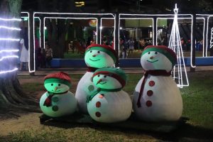 Abertura do Natal de Luzes em Amambai: Confira os registros de uma noite mágica