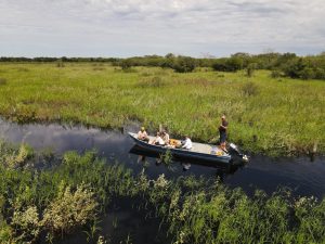 Com influência direta do fogo, resiliência do Pantanal é marcada por ciclos de cheia, seca e vegetação adaptada