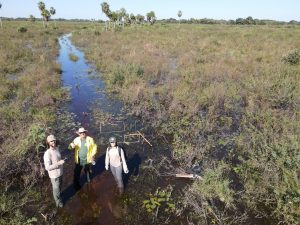 Com influência direta do fogo, resiliência do Pantanal é marcada por ciclos de cheia, seca e vegetação adaptada