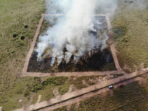 Com influência direta do fogo, resiliência do Pantanal é marcada por ciclos de cheia, seca e vegetação adaptada
