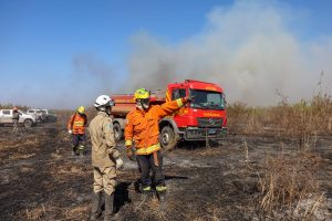 Com influência direta do fogo, resiliência do Pantanal é marcada por ciclos de cheia, seca e vegetação adaptada