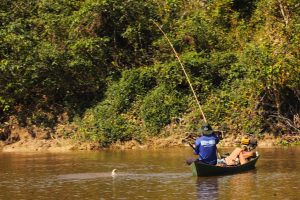 Com influência direta do fogo, resiliência do Pantanal é marcada por ciclos de cheia, seca e vegetação adaptada